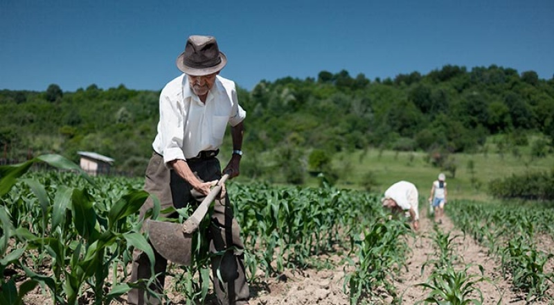 0670 αγροτική εργασία